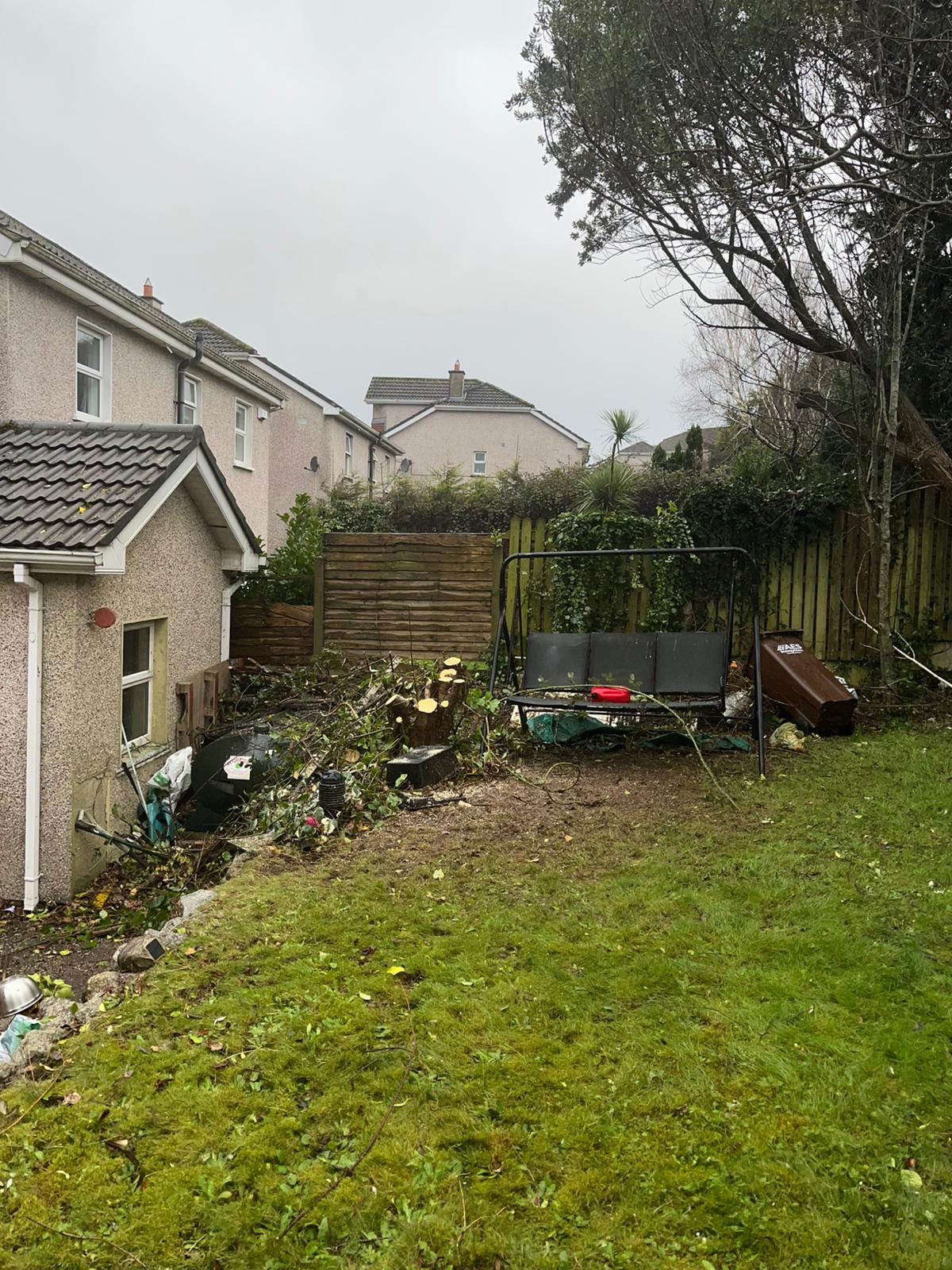 Large tree cleared