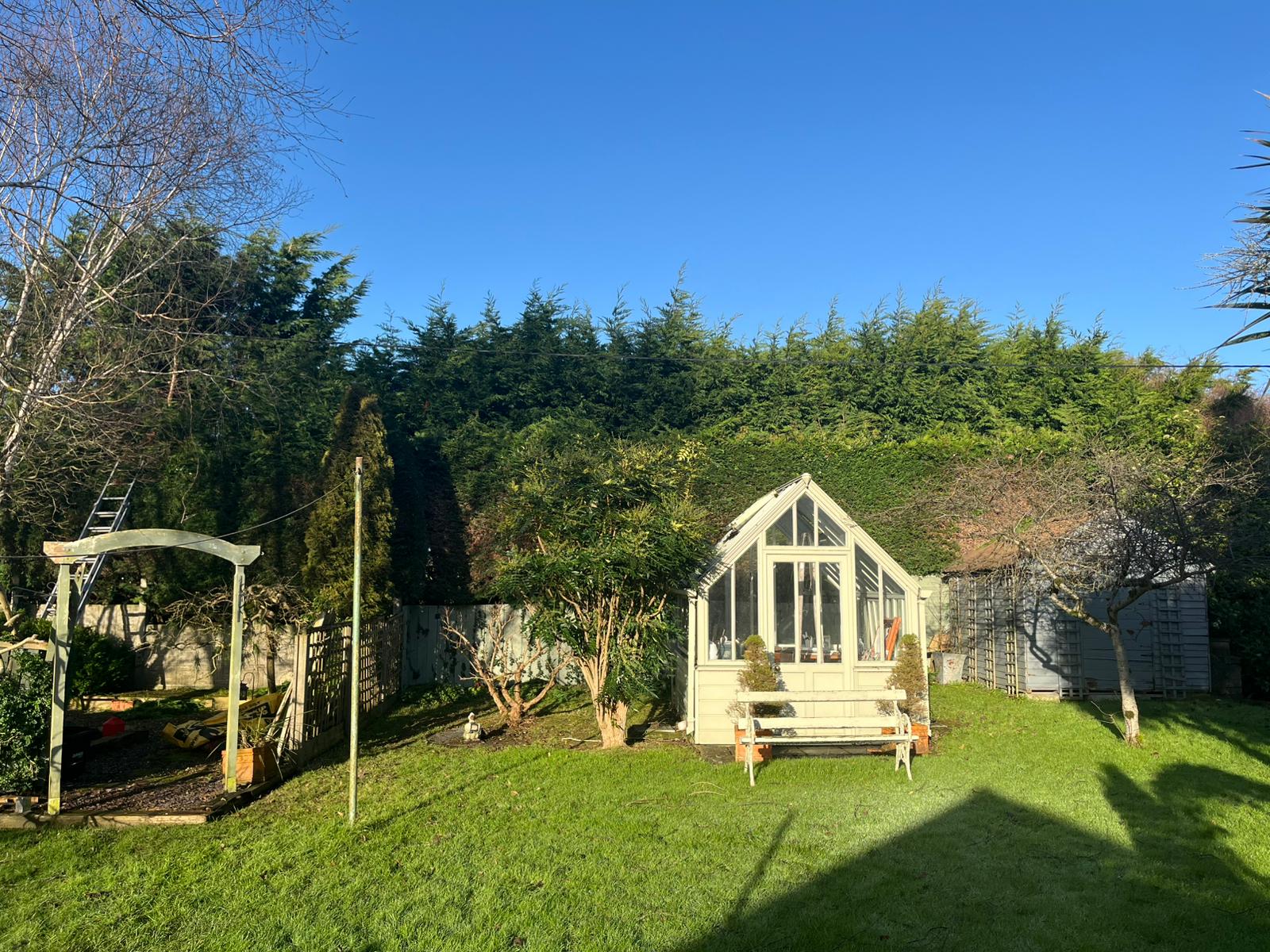 A mature Dublin back garden with fresh cut lawn, greenhouse and tall hedge boundary