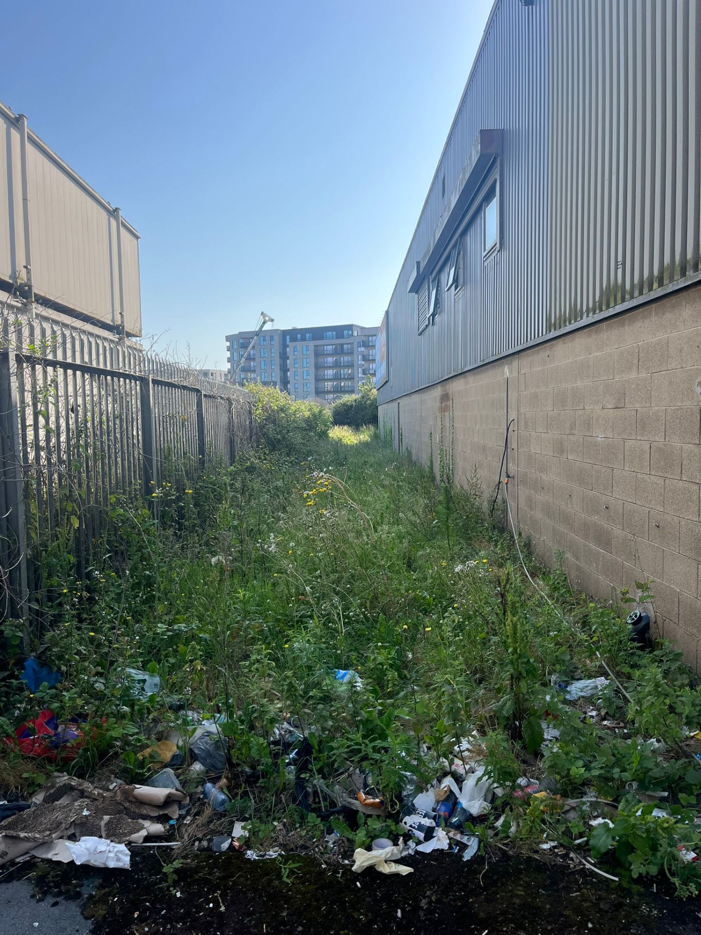 Full site clearance before
