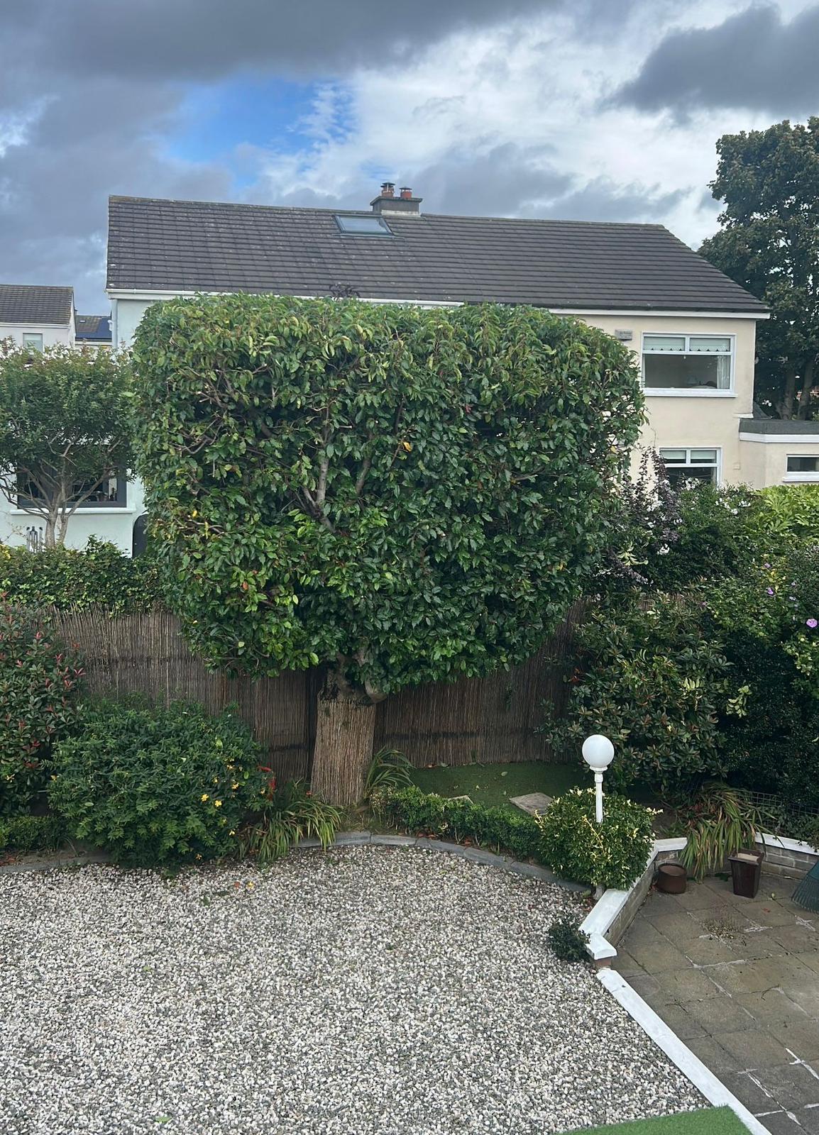 Ornamental tree shaped